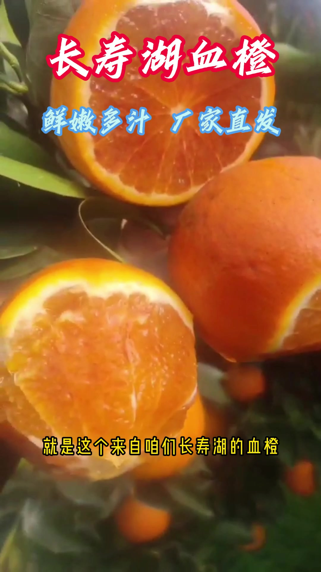 天然纯净的长寿湖血橙,为你带来甜蜜满溢的口感!