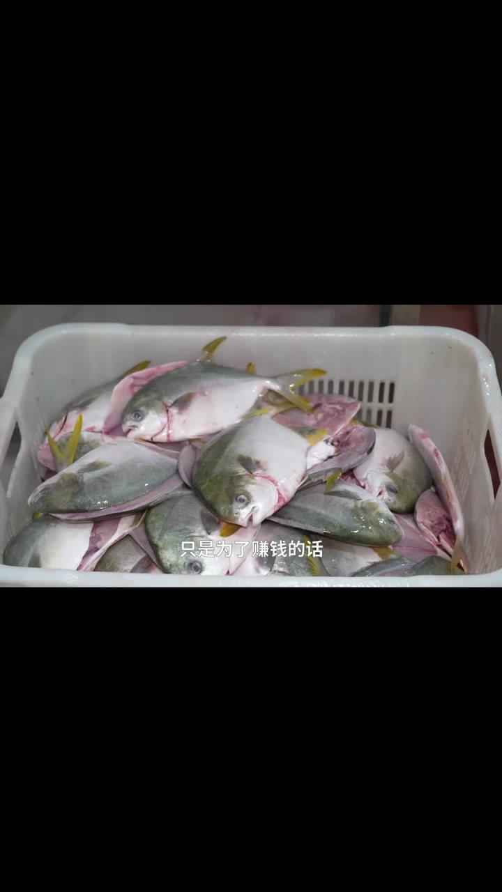 顺德老板用良心做鱼干,坚决不加防腐剂