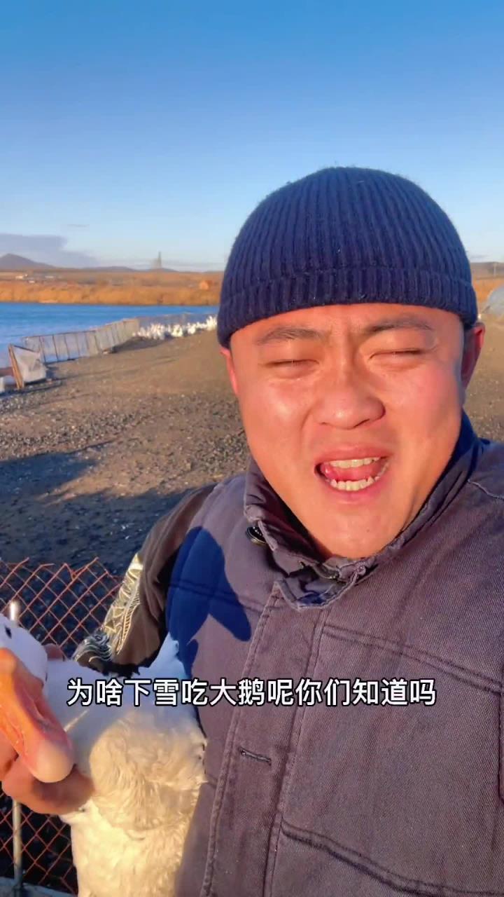 下雪吃大鹅,是雪的背叛还是大鹅的不眷恋,优质农产品,大鹅