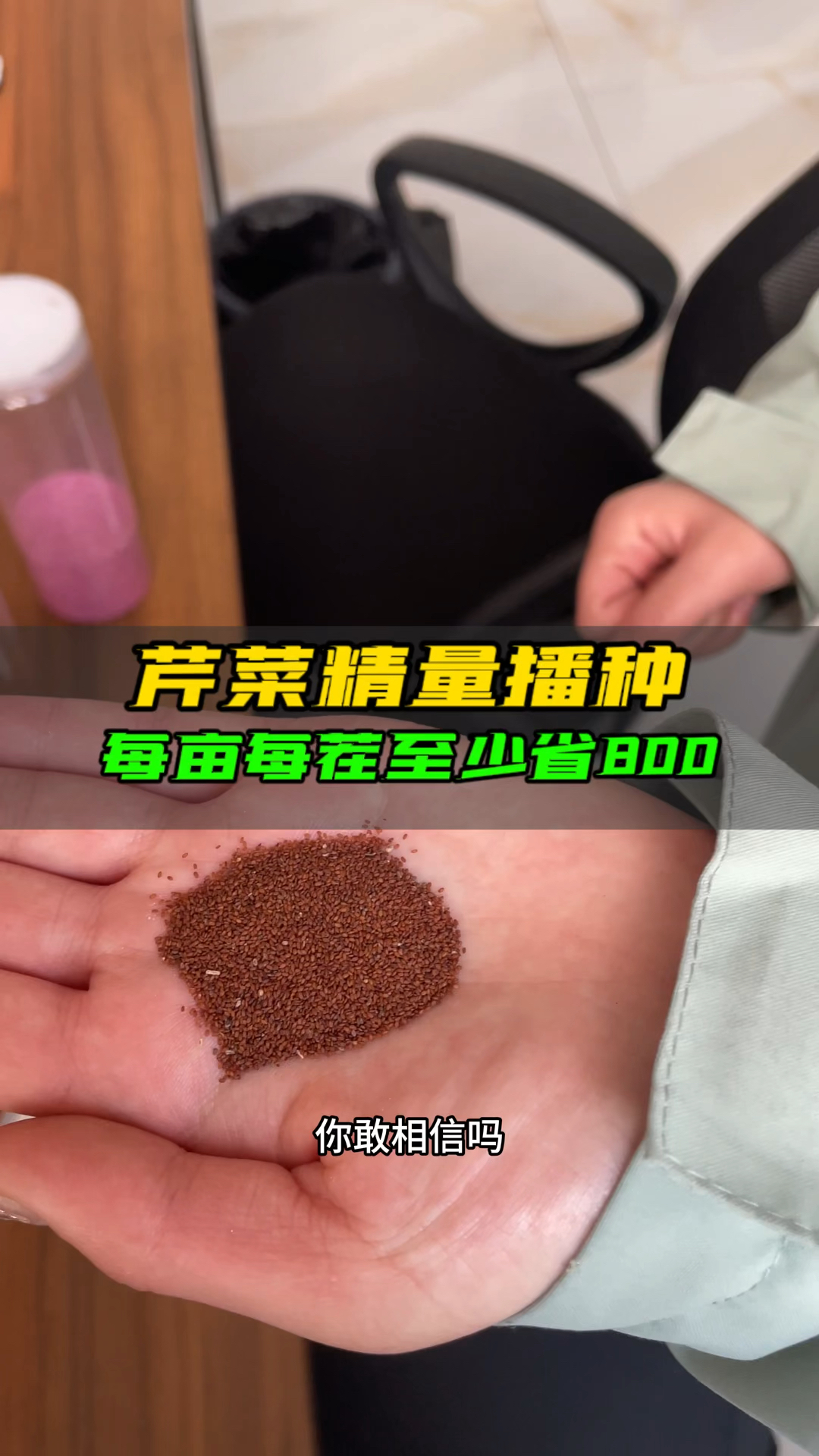 芹菜精量播种每亩每茬至少省800,想要不用间苗就选它