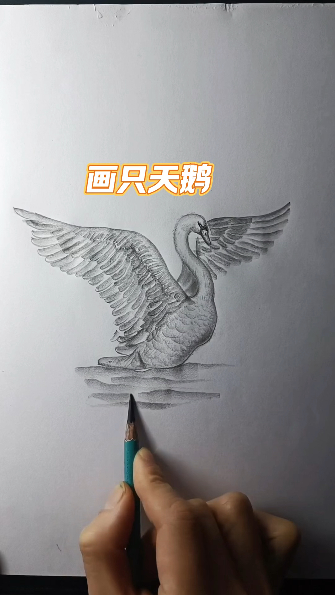 新手小白画天鹅的小技巧