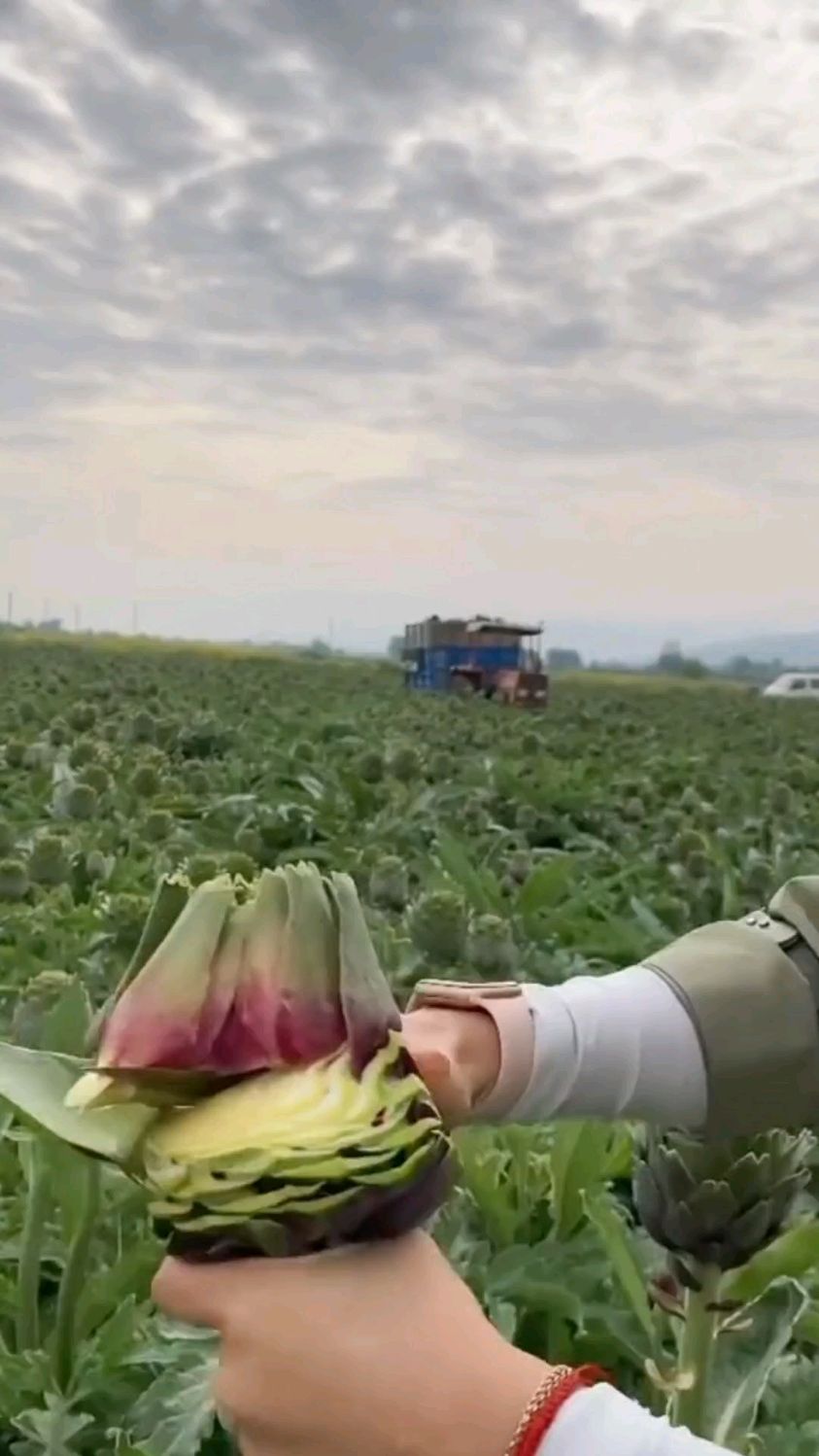 记录农村生活