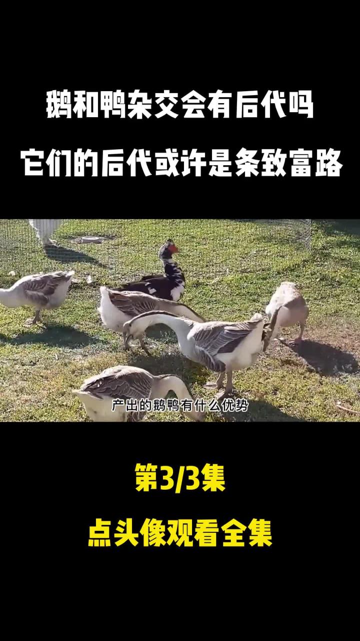 和之间能否杂交产生后代?已有人做过实验 (3)
