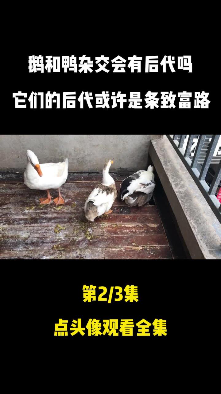 和之间能否杂交产生后代?已有人做过实验 (1)