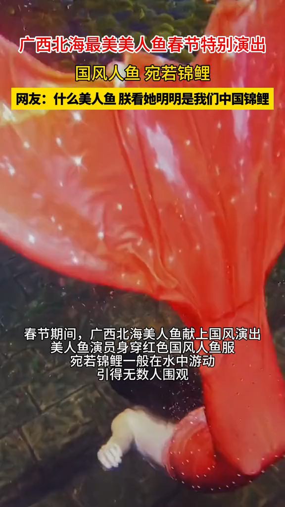 广西北海美人鱼春节表演走红,扮演者身穿国风人鱼服与游客互动,翩若惊鸿宛若锦鲤