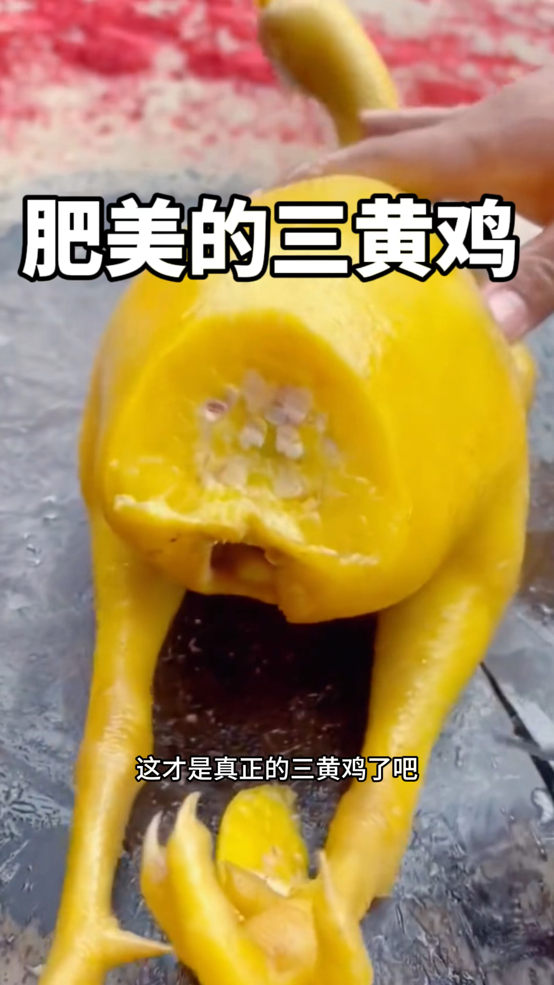 肥美的三黄鸡,全是黄油