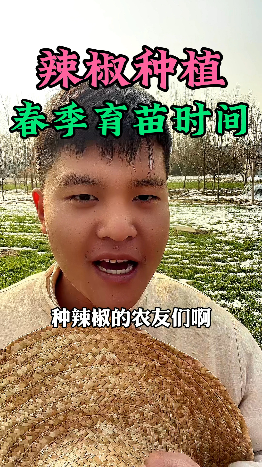 辣椒种植春季育苗的时间