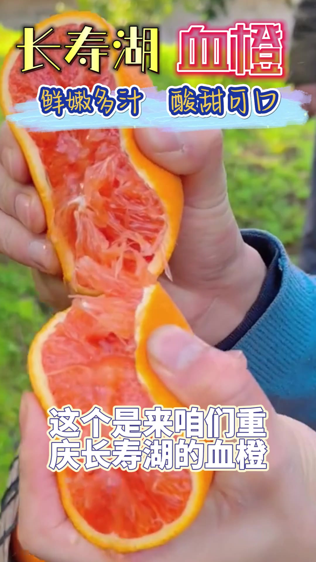 为健康加分:选择长寿湖血橙,享受美味的同时为身体注入营养