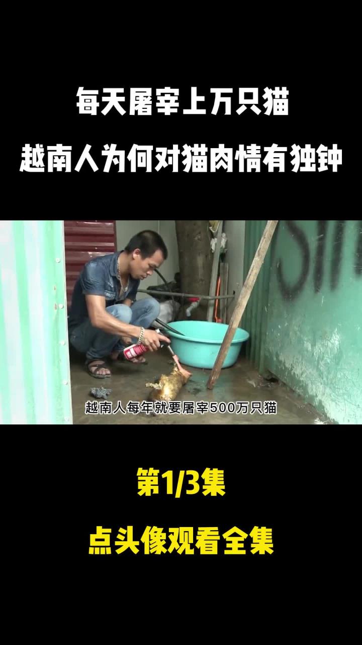 黑色产业屡禁不止,每天屠宰上万只 (2)