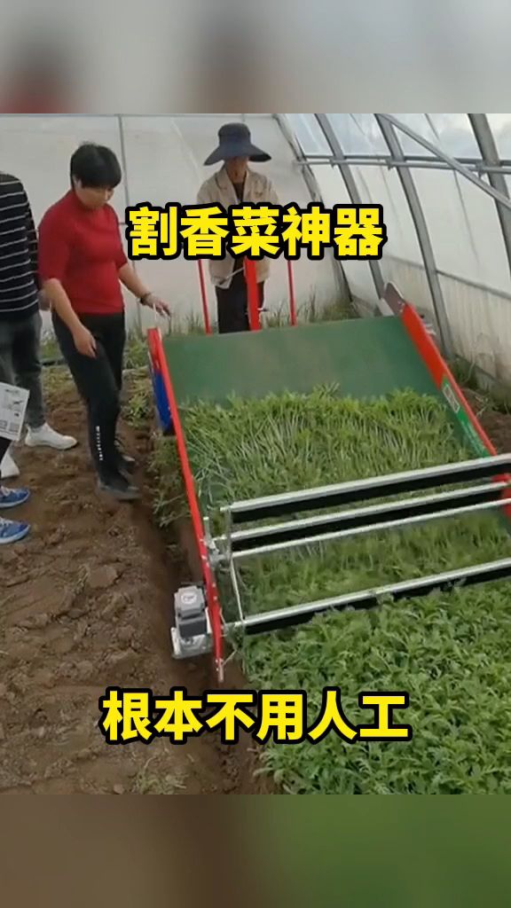 割香菜神器,根本不用人工!