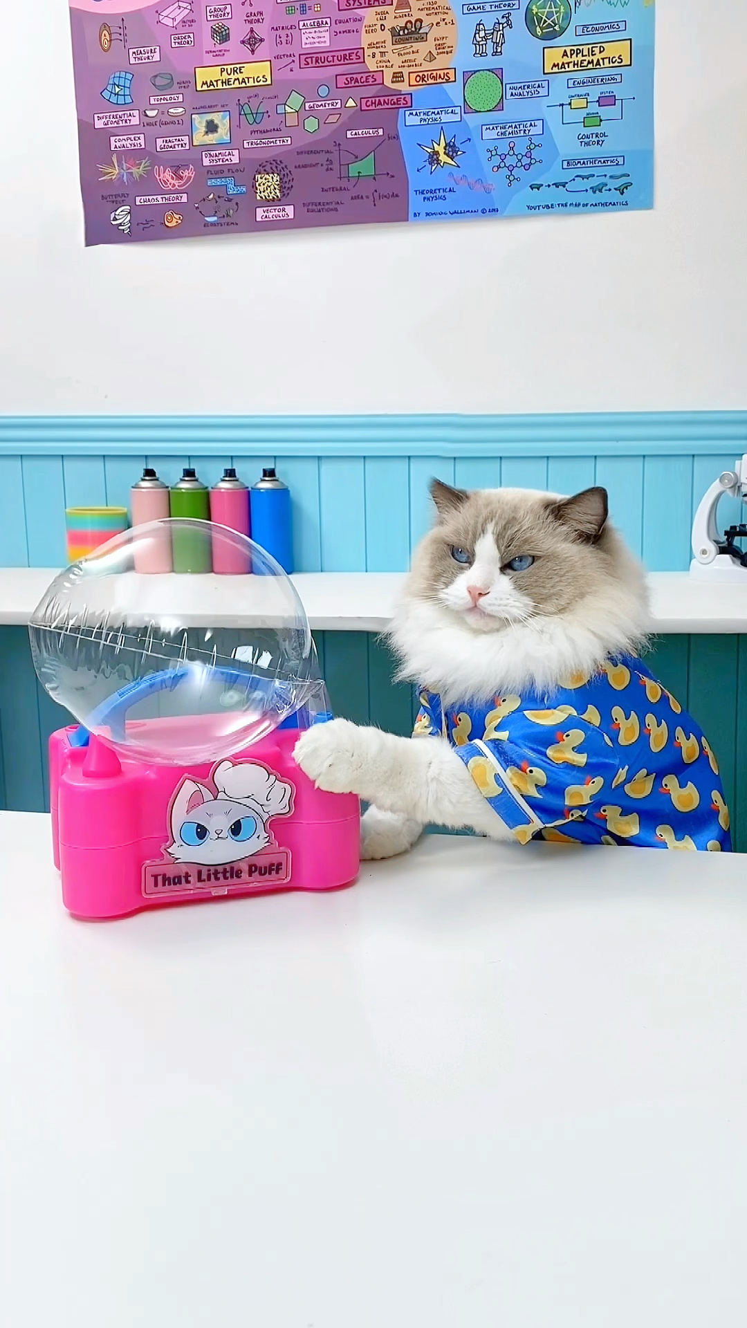 小Puff已经提前准备好了米奇米妮情人节气球!