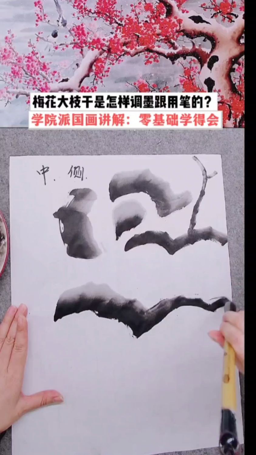 梅花大枝干是怎样调墨跟用笔的