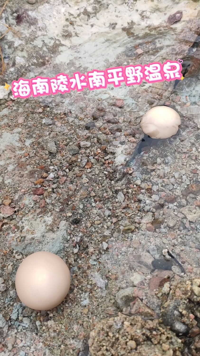 你见过用温泉煮鸡蛋吗!一个神奇的地方,体验温泉煮鸡蛋