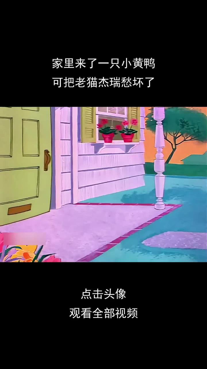 家里来了一只小黄鸭,可把老猫杰瑞愁坏了