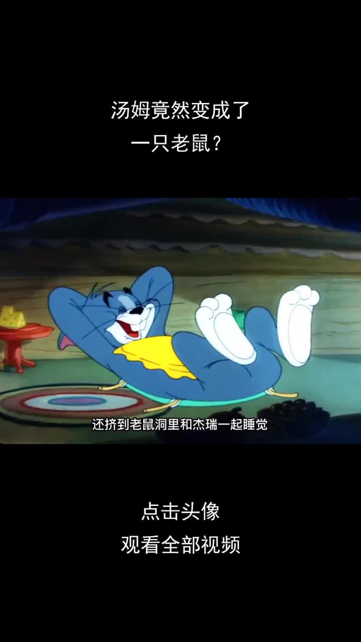 汤姆竟然变成了,一只老鼠?