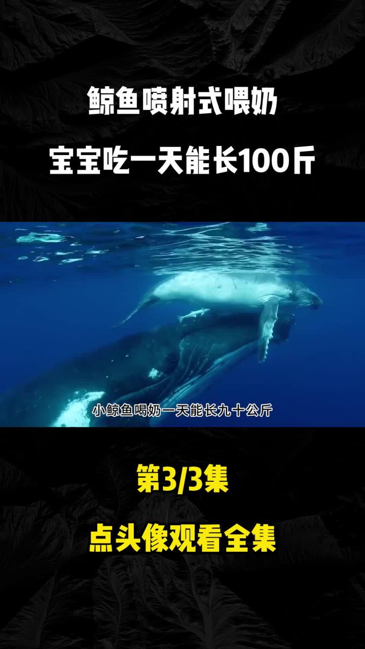 小一天长180斤,喂奶似高压水枪 (1)