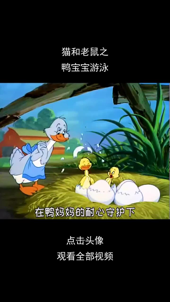 猫和老鼠之,鸭宝宝游泳