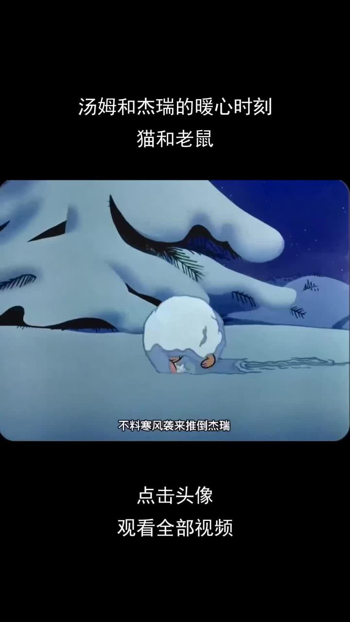 汤姆和杰瑞的暖心时刻,猫和老鼠