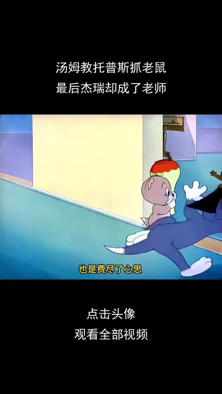 汤姆教托普斯抓老鼠,最后杰瑞却成了老师