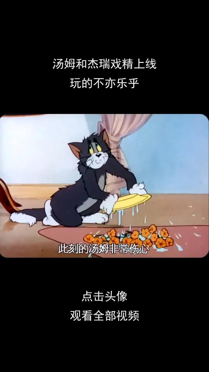 汤姆和杰瑞戏精上线,玩的不亦乐乎