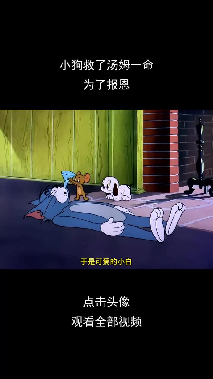 小狗救了汤姆一命,为了报恩