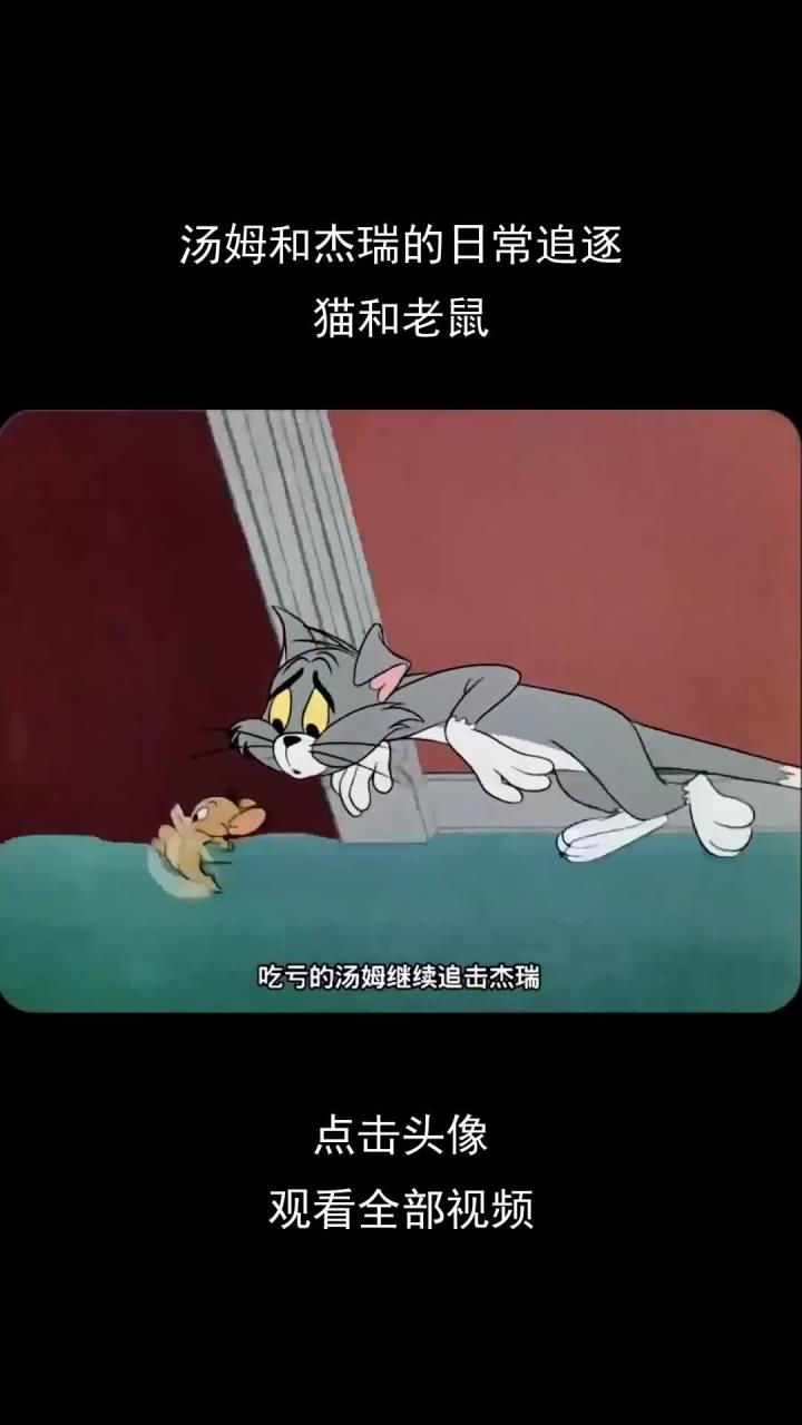 汤姆和杰瑞的日常追逐,猫和老鼠