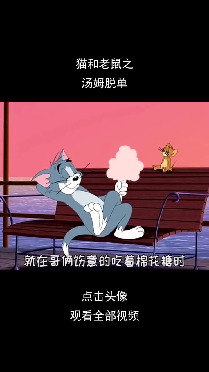 猫和老鼠之,汤姆脱单