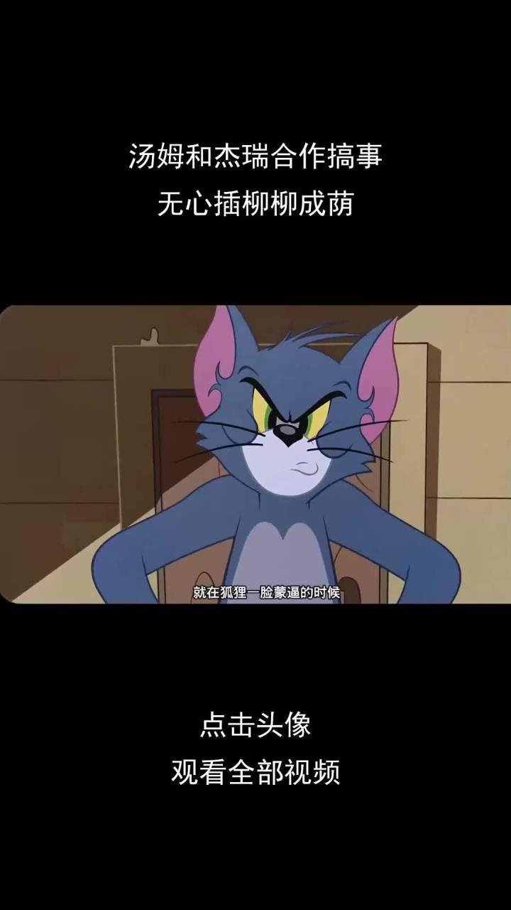 汤姆和杰瑞合作搞事,无心插柳柳成荫