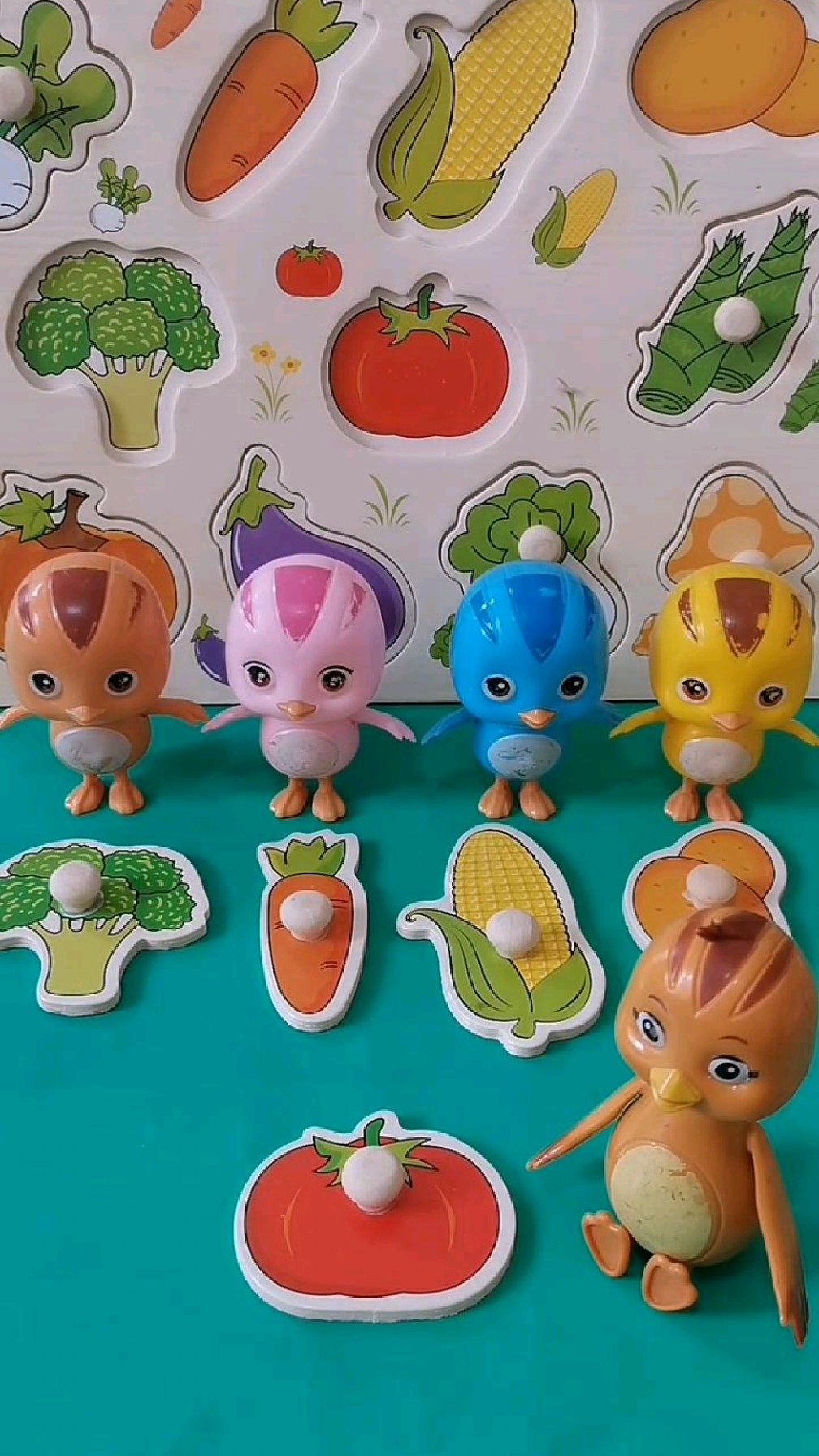 给萌鸡小队摘蔬菜了