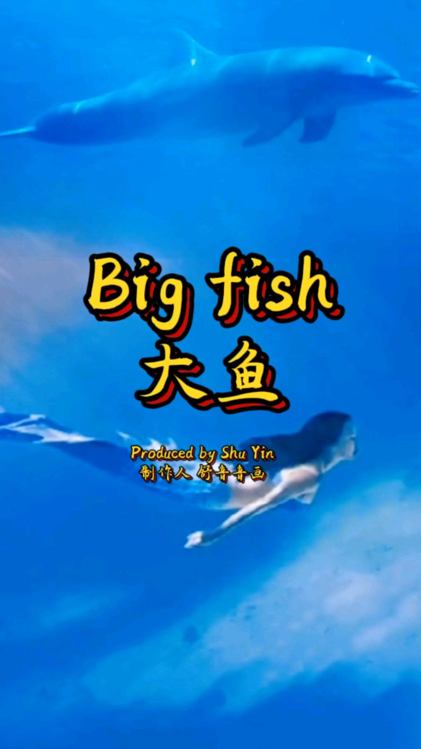 经典纯音乐《大鱼》表达鱼在大海中畅游的形象 象征着在自由中舒展身心 追求价值和梦想