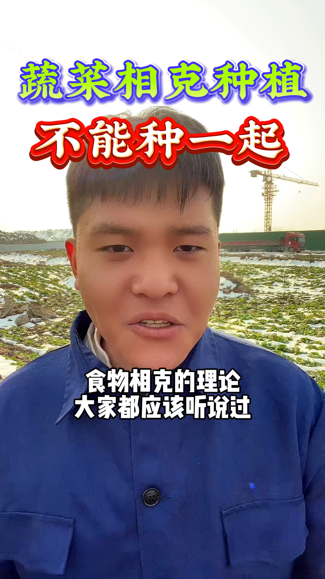 蔬菜也有不能种在一起的,大家知道吗