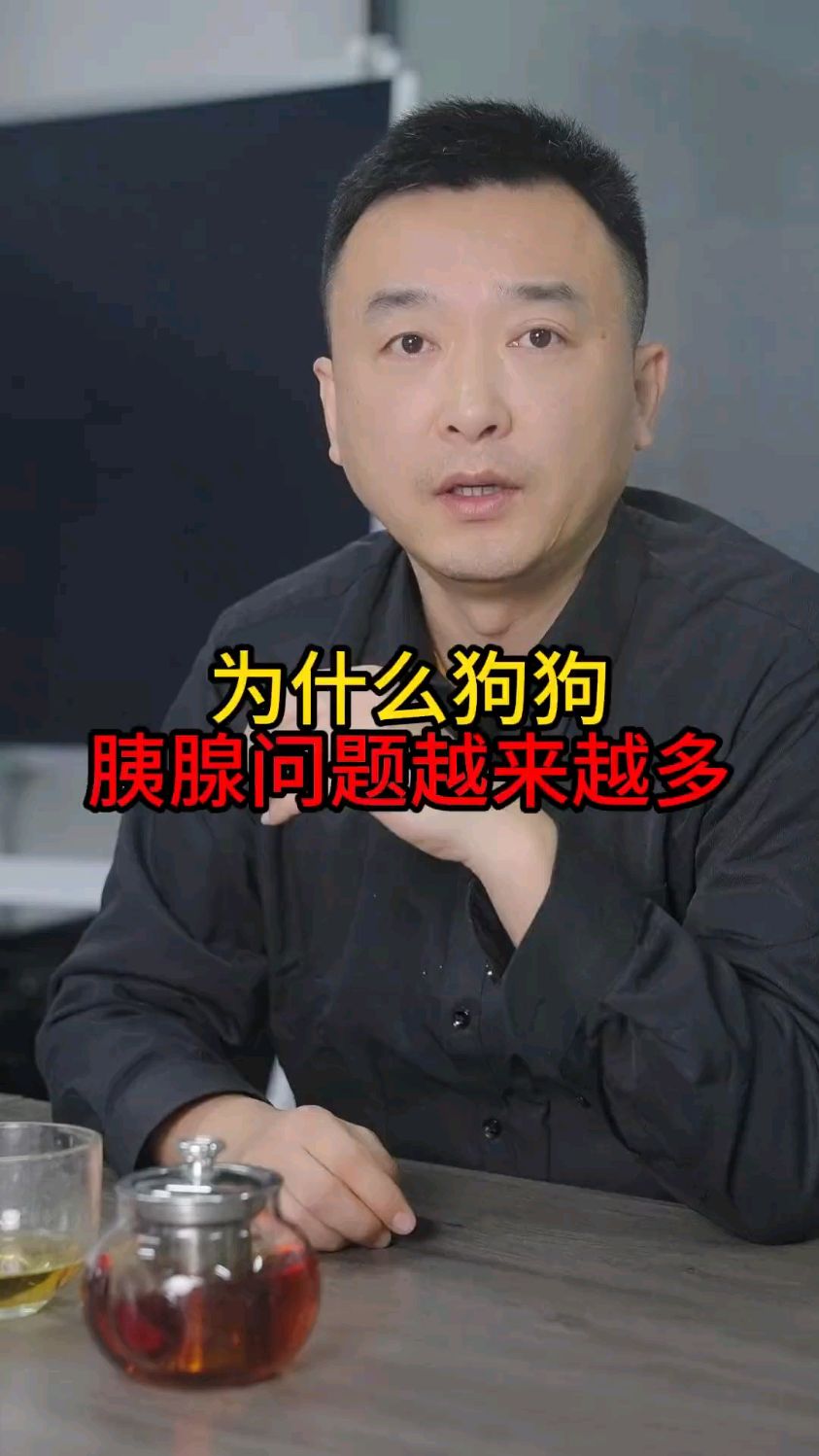 为什么狗狗胰腺问题越来越多