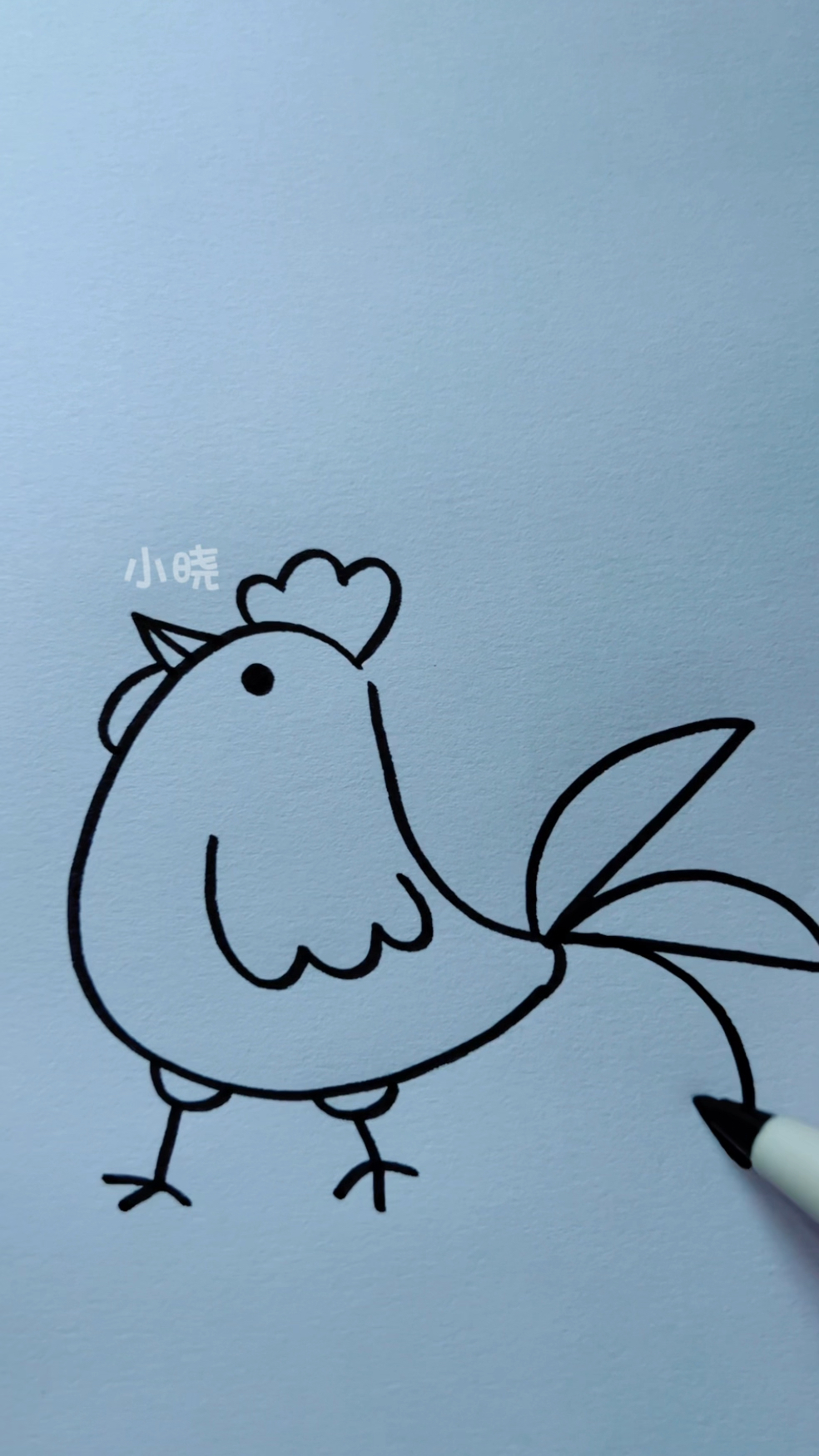 简笔画公鸡!
