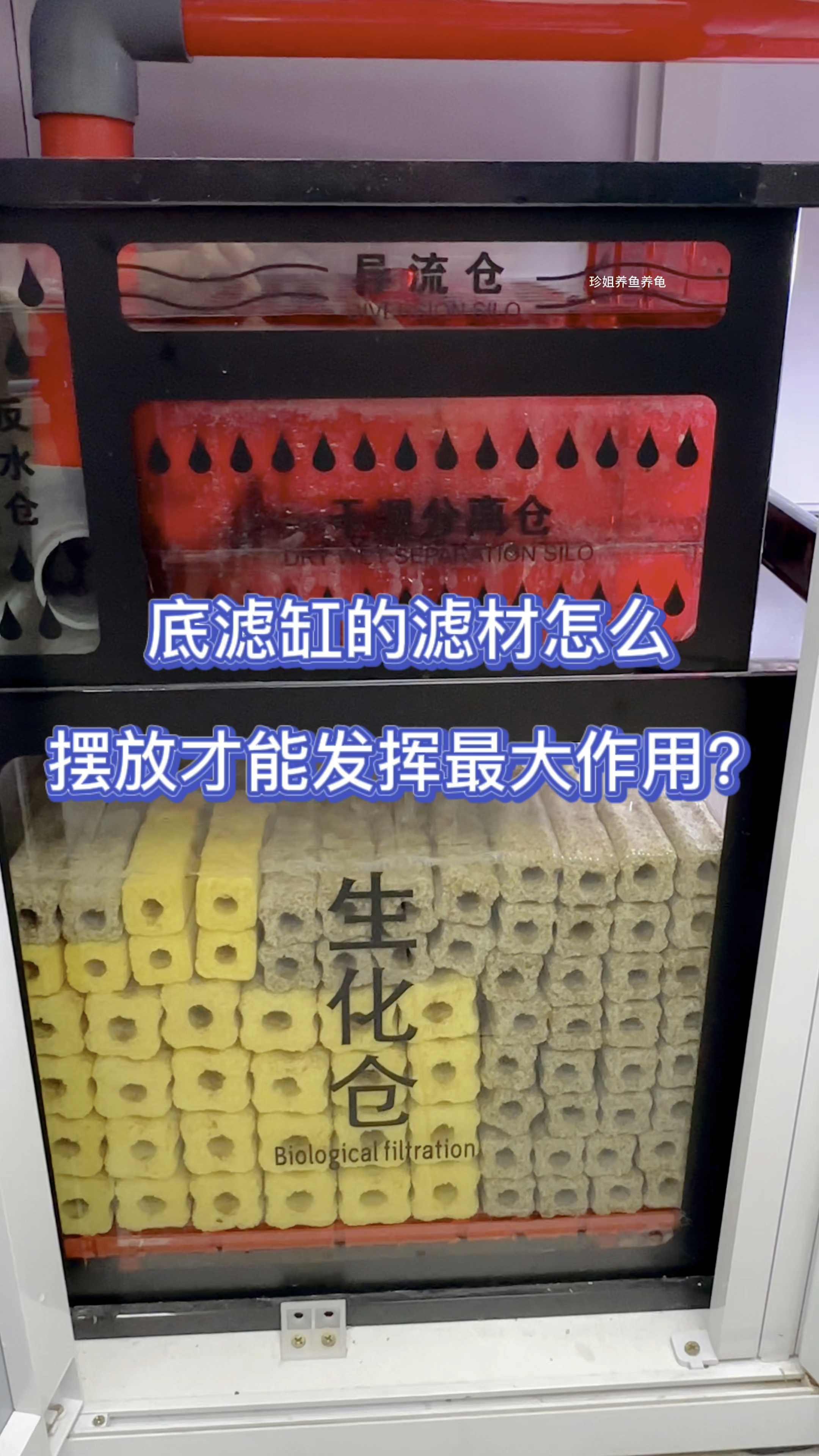 底滤缸的滤材怎么摆放才能发挥最大作用?#水族 #鱼缸过滤 #养鱼日志