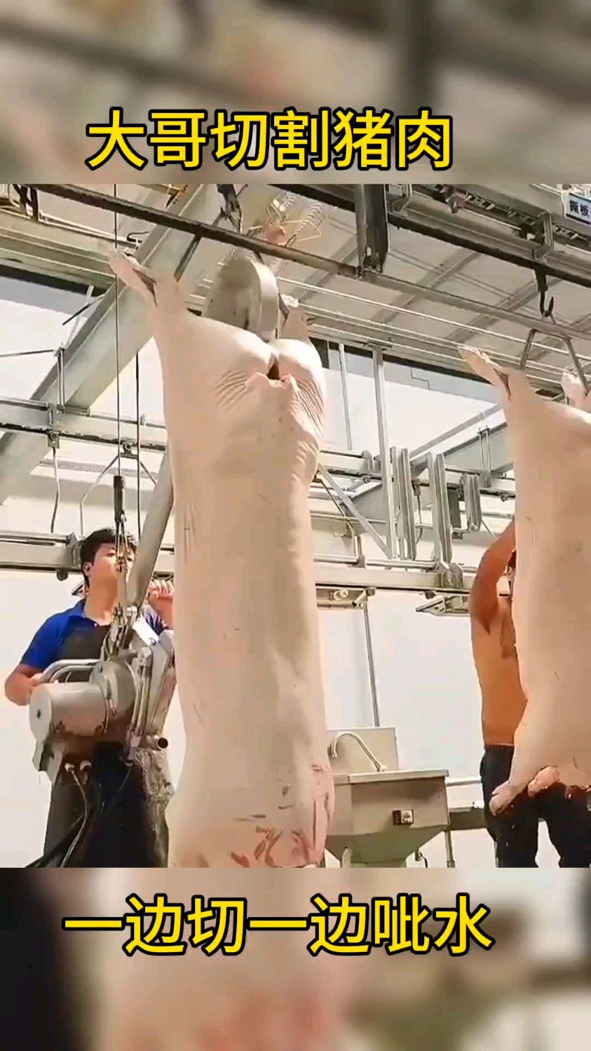 大哥切割猪肉,居然有工具