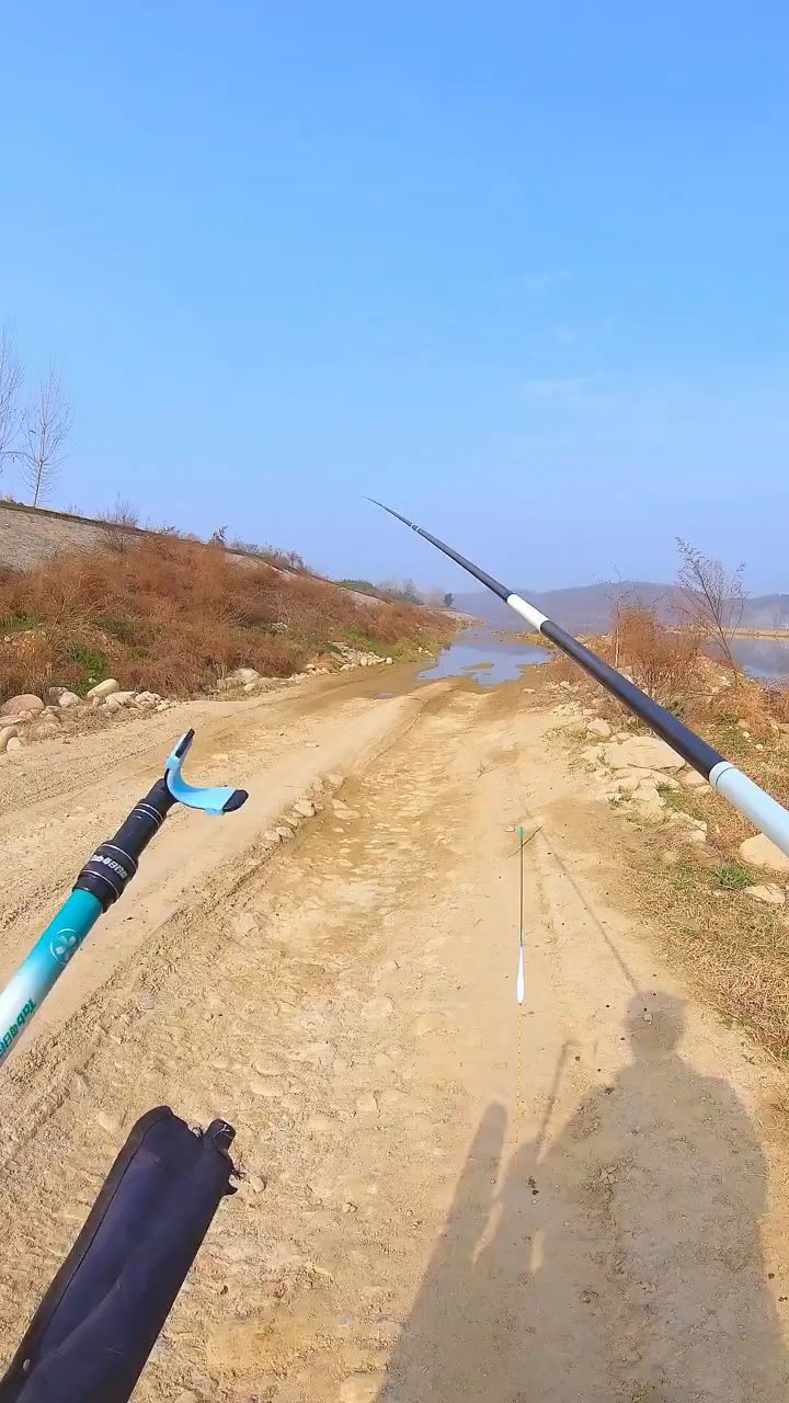 今天的大板鲫真可以了,不枉我花那么多时间找钓位 #户外钓鱼 #野钓