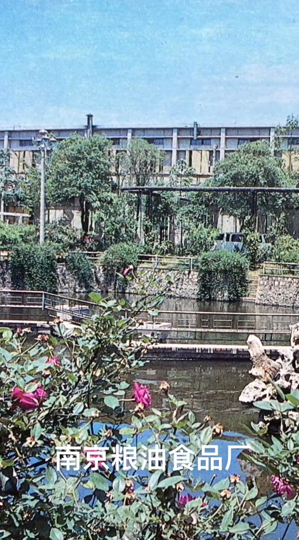 八十年代的南京粮油食品厂,其生产的“寿桃”牌方便面早期在本地