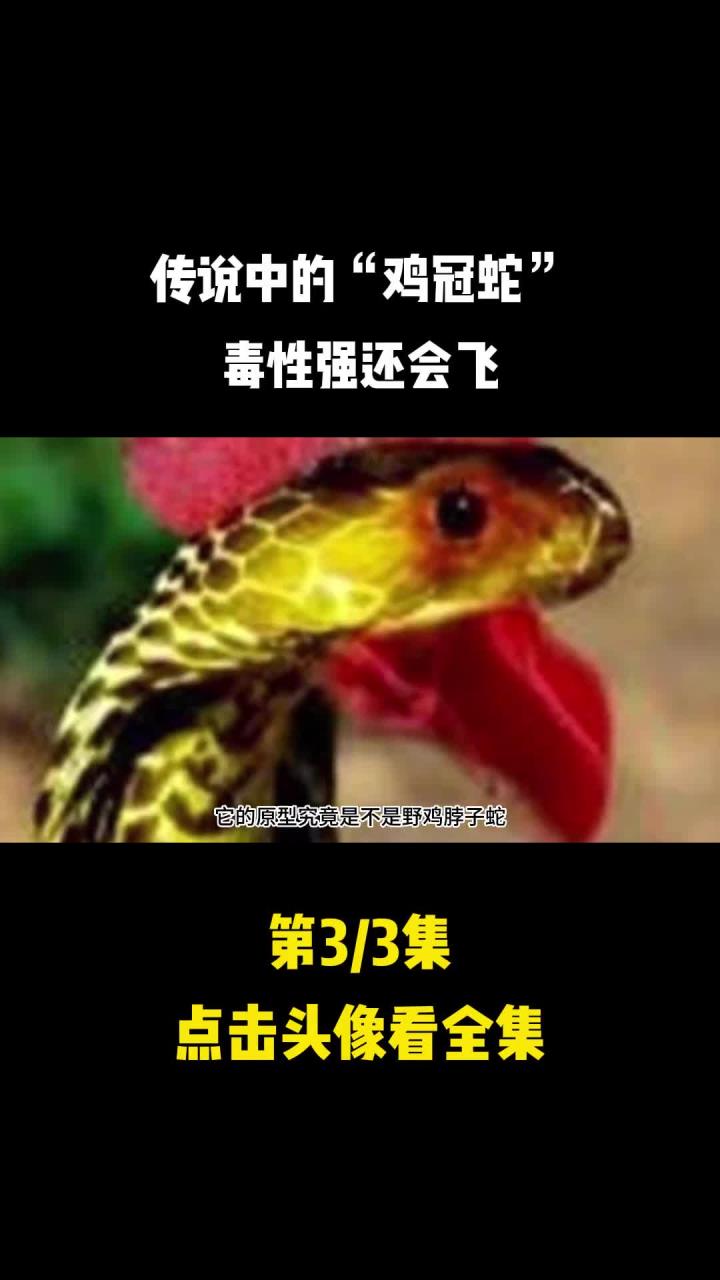 毒性强还会飞,这究竟是不是真的?(2)