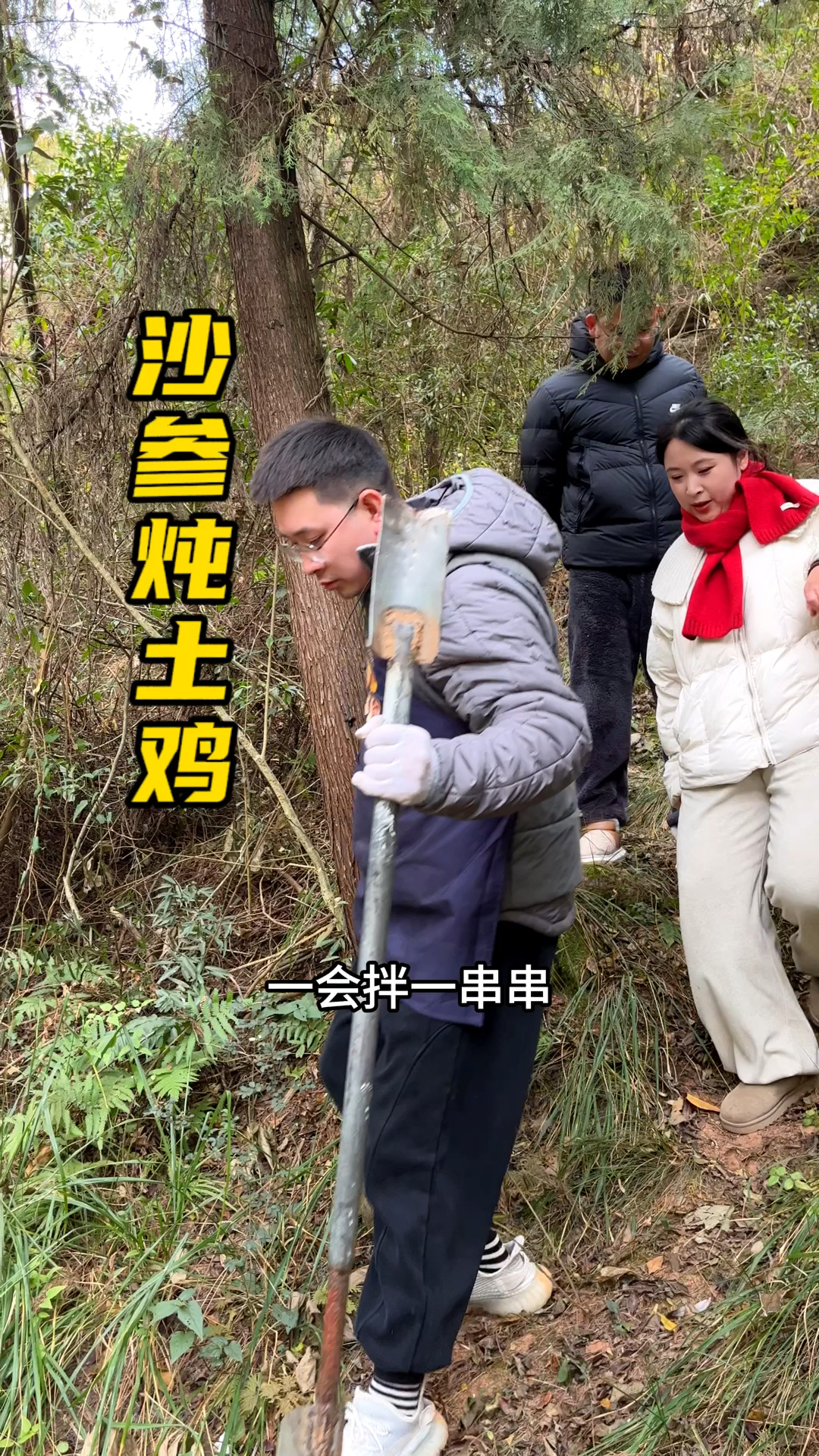 姐姐过年回家了,想吃沙参炖鸡,大城子去挖了一筐给姐姐炖!