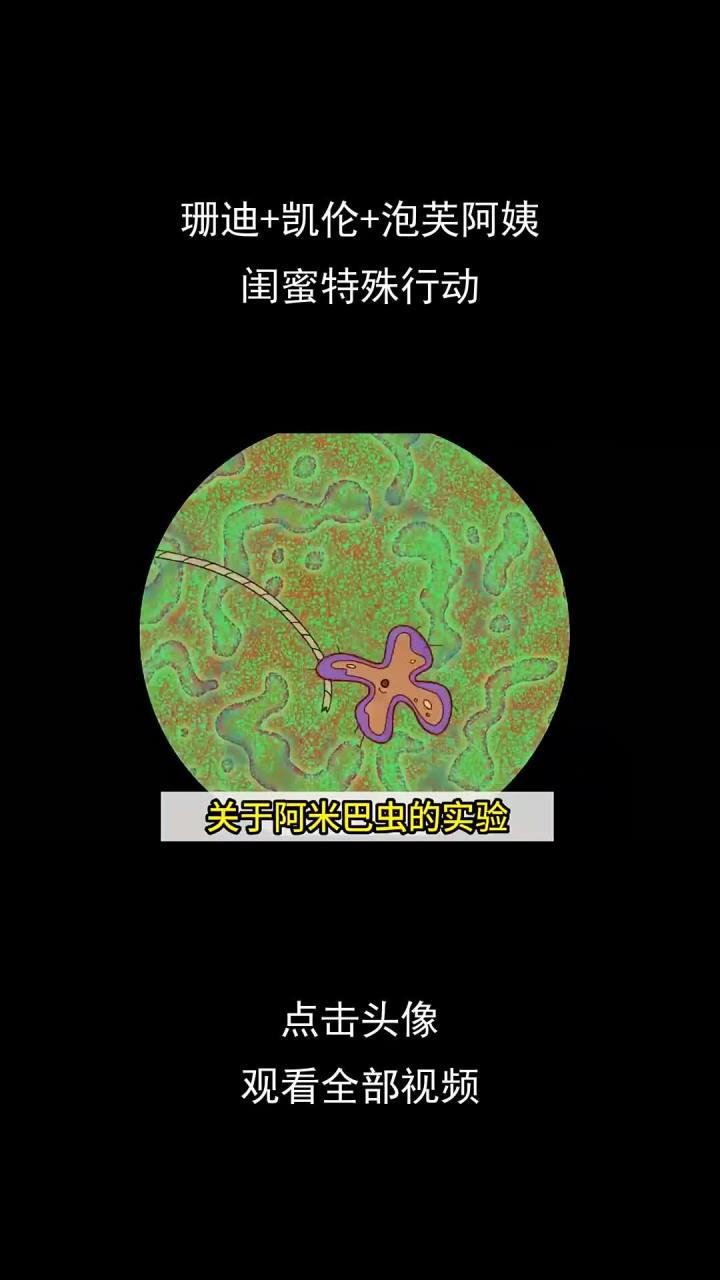 珊迪+凯伦+泡芙阿姨>一切,闺蜜特殊行动