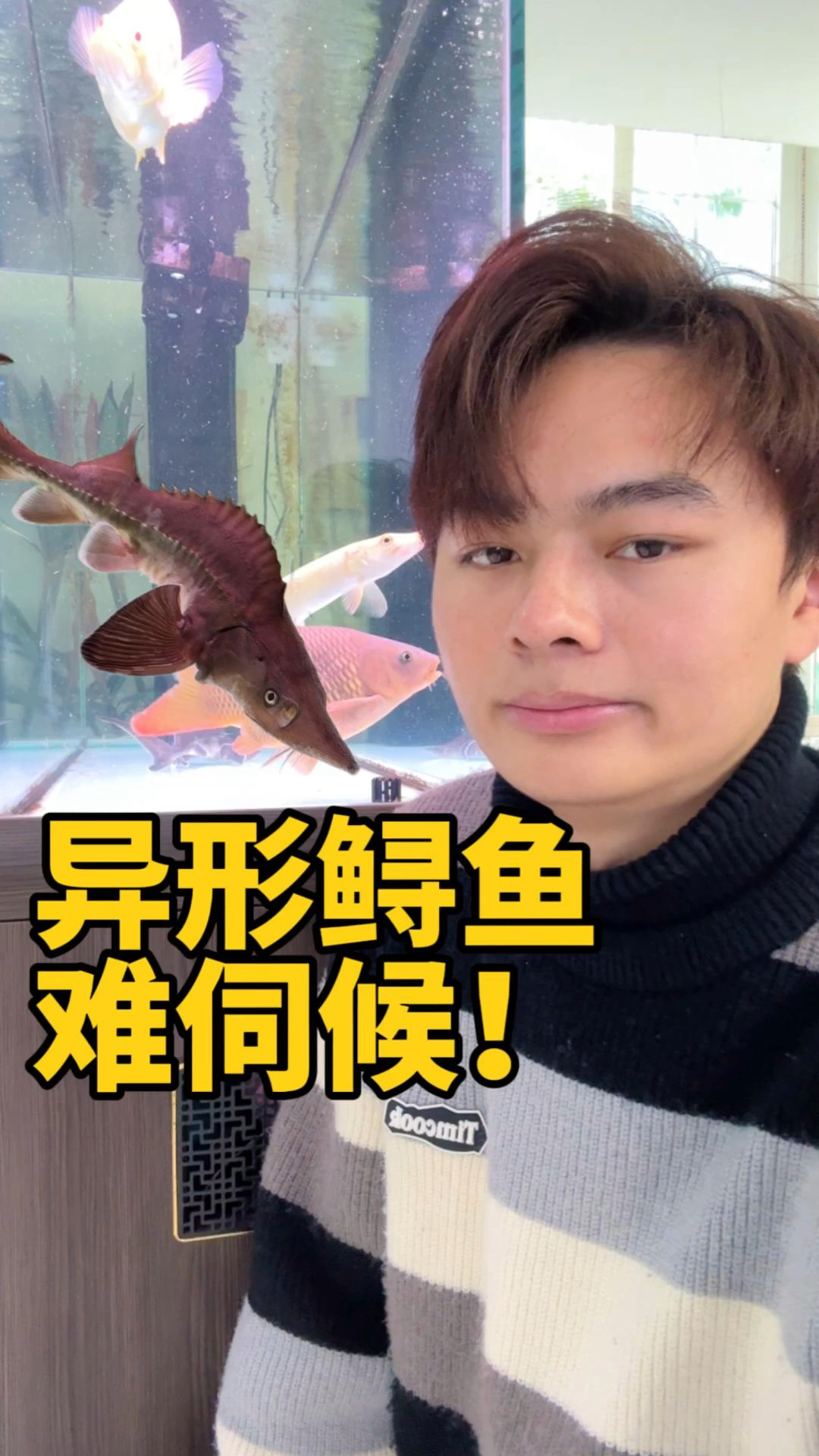 异形鲟鱼终于肯吃东西啦!