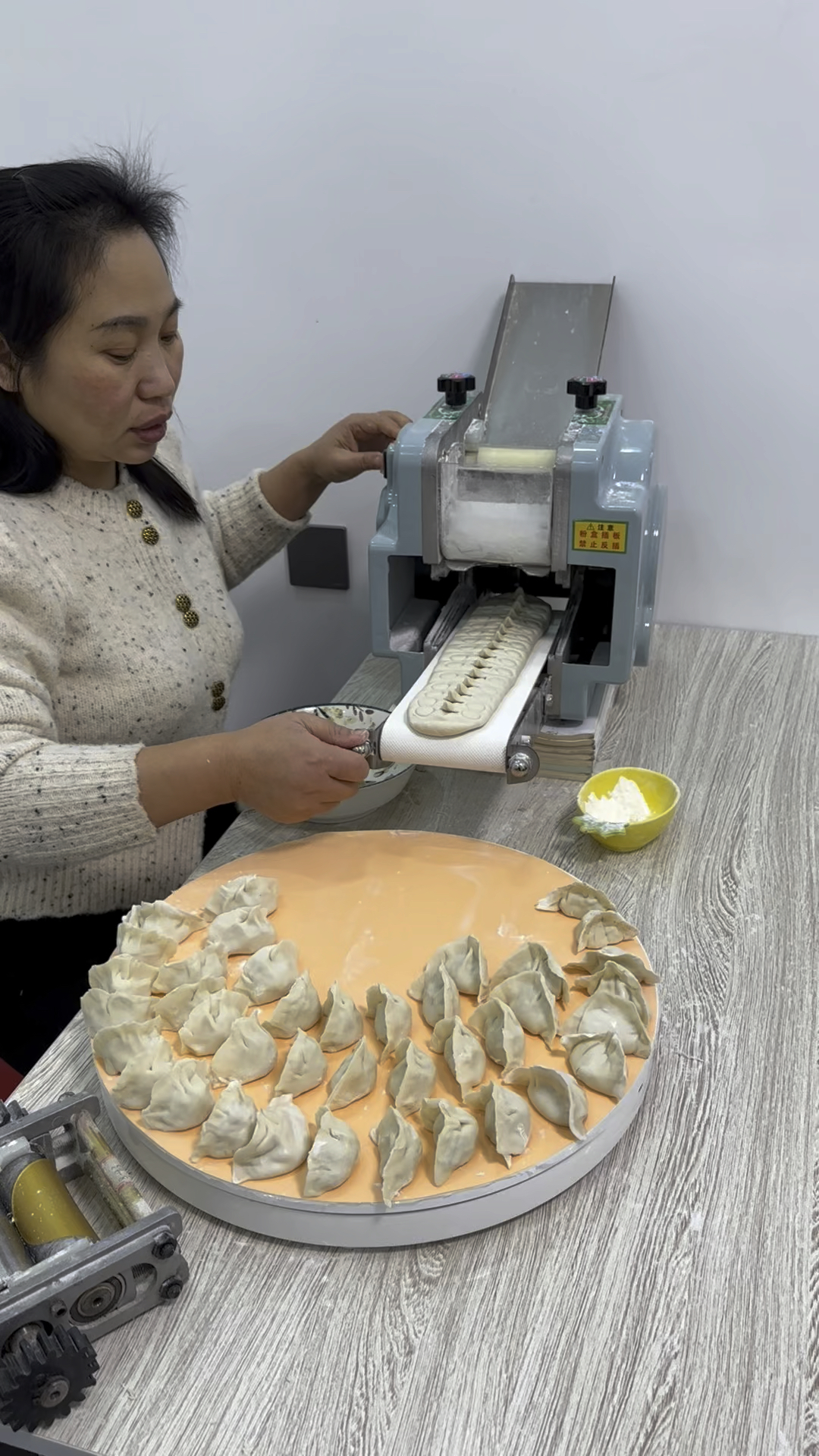 面条馄饨饺子皮机