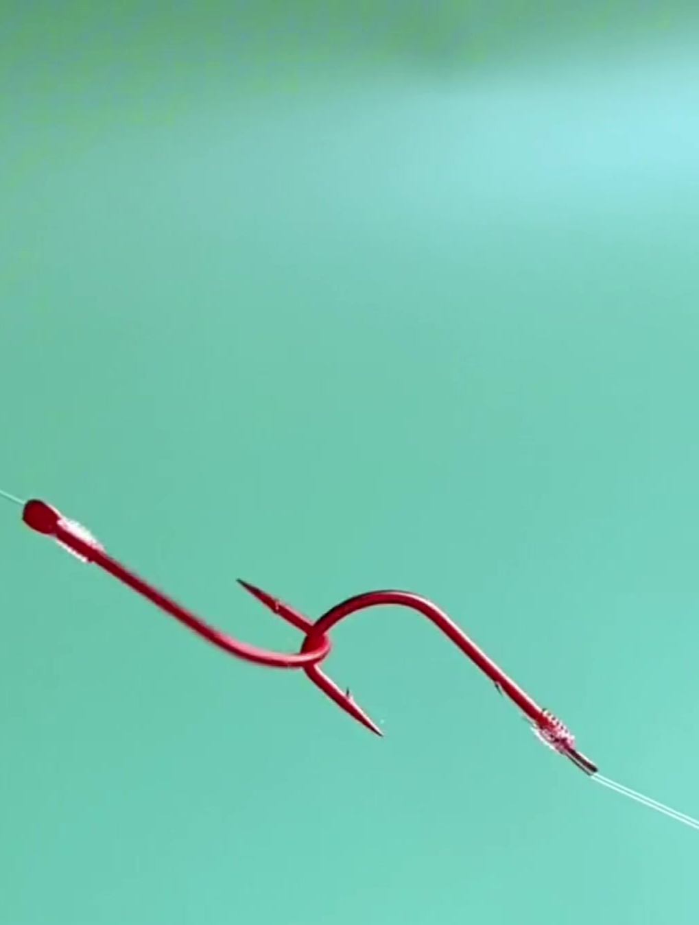 一级钓鱼大师也在用的“赤袖双钩”,信号传递无延迟,不错失鱼口