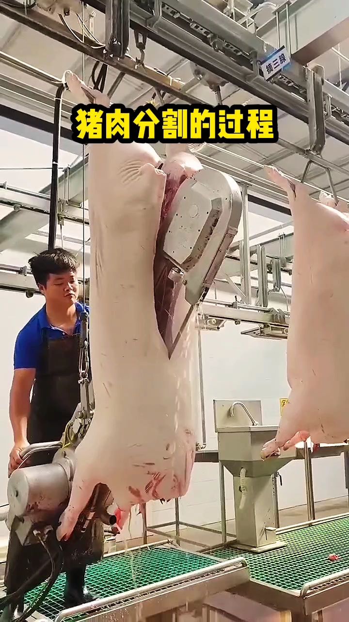 猪肉分割的过程