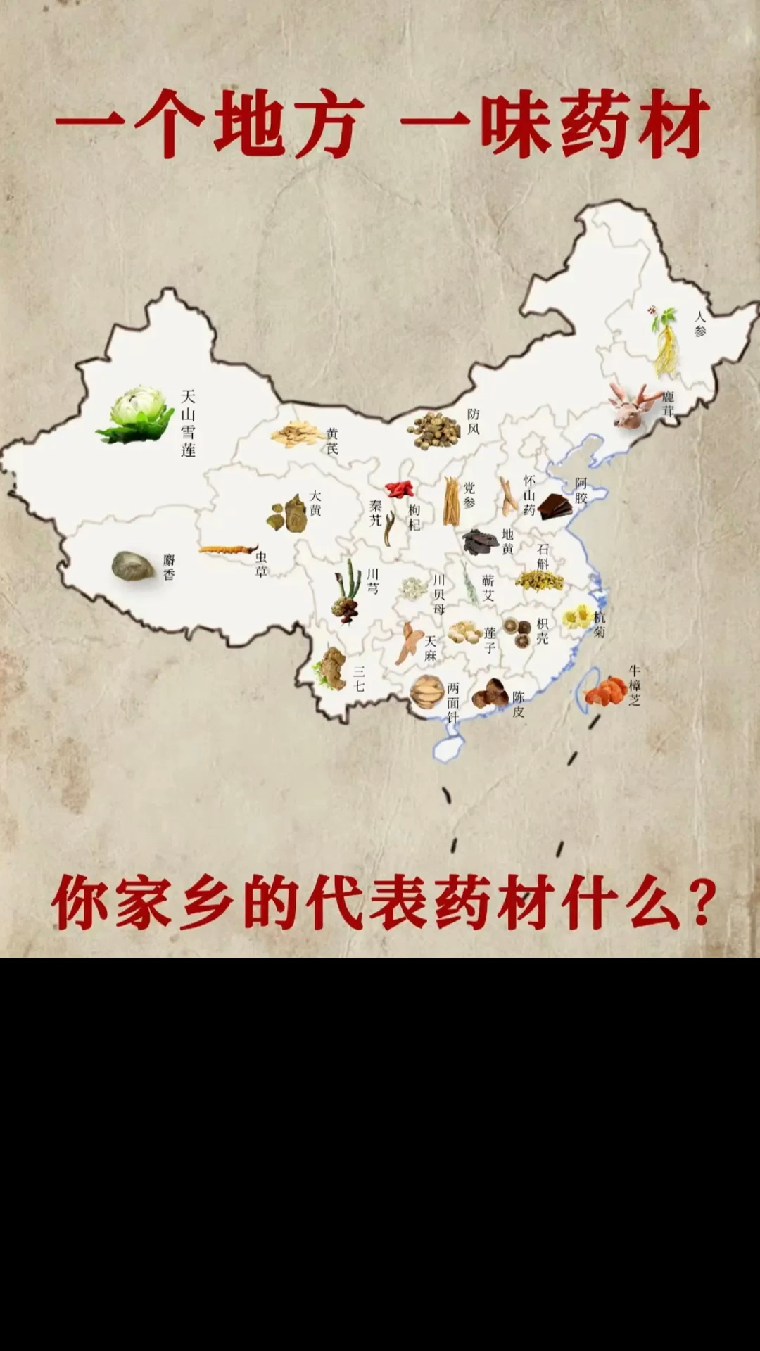 聊聊各地方的特色药材,这才叫“地道”,新的龙年!我要做时间的朋友!做地缘的朋友!