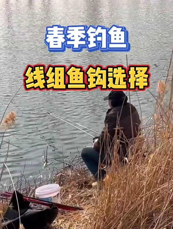 春季钓鱼,线组鱼钩应该怎么选?老钓友只看这几点!