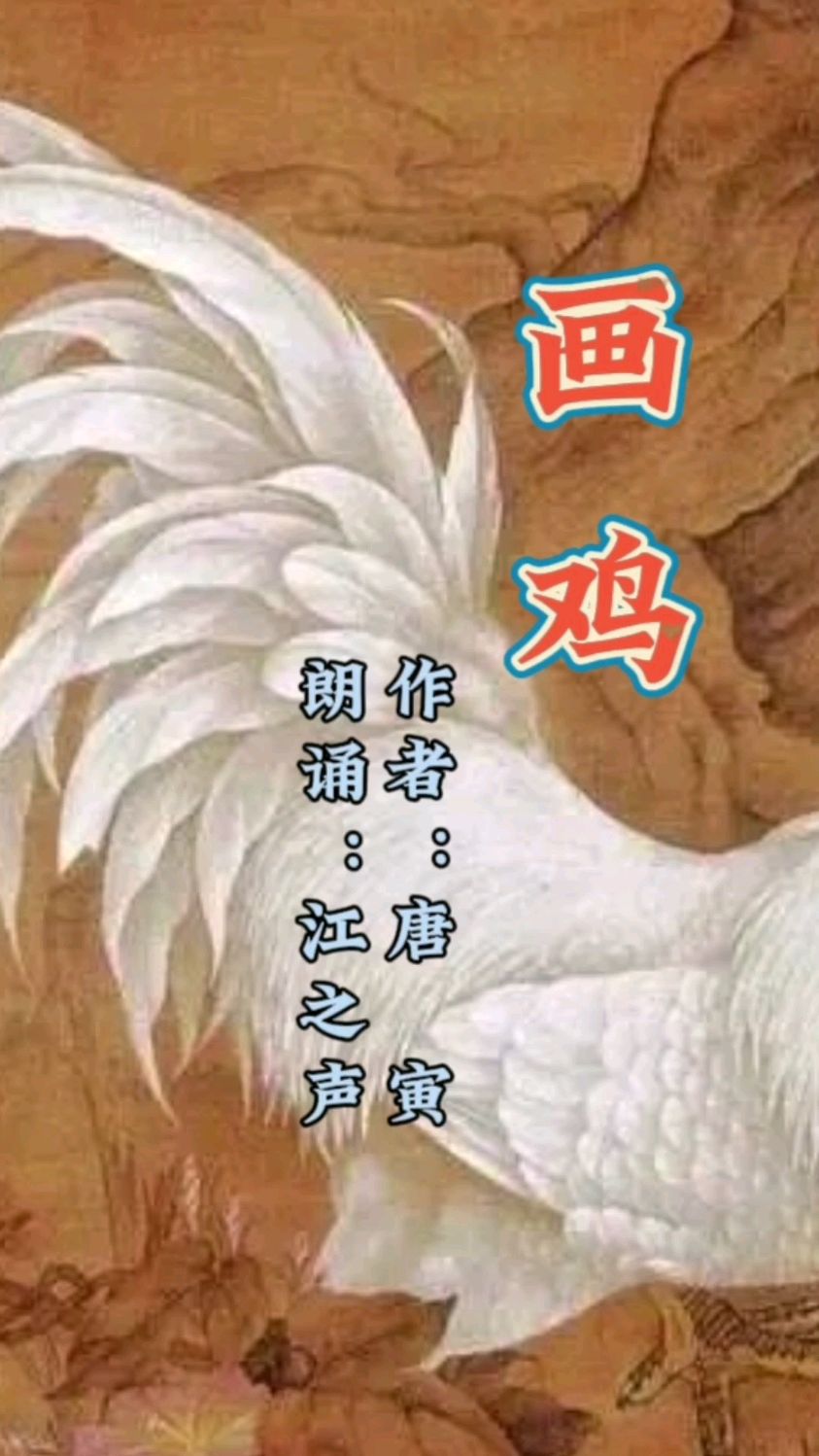 画鸡-唐寅(古诗词朗诵)