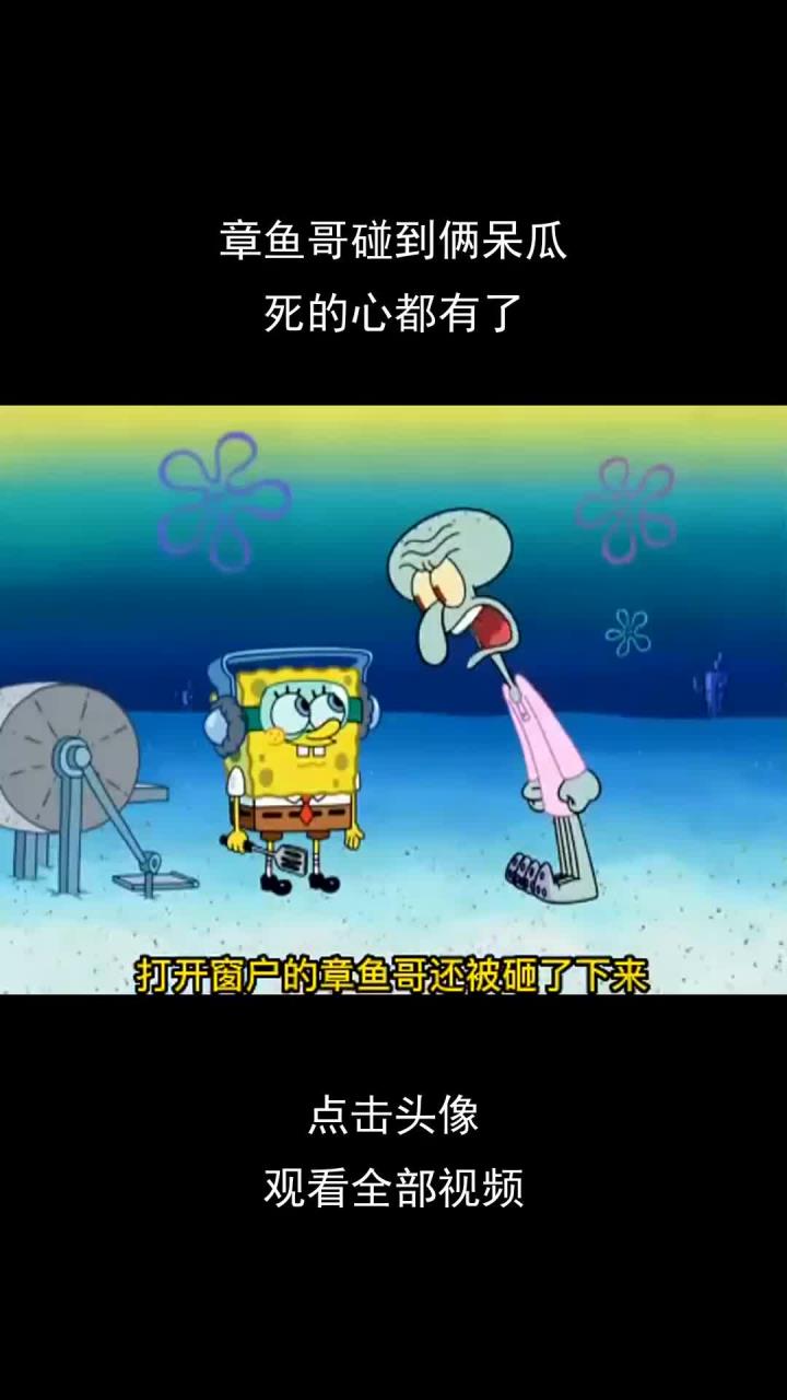 章鱼哥碰到俩呆瓜,死的心都有了