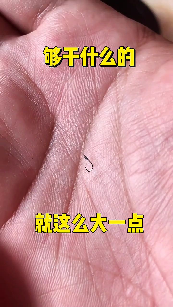 这么大鱼钩能钓上来吗