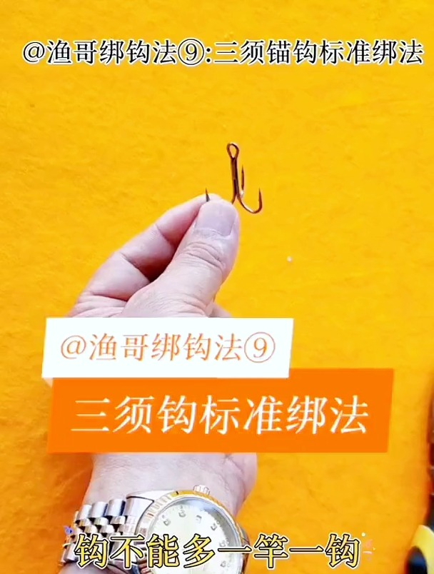 三须锚钩怎么绑?钓友现场手把手教学!